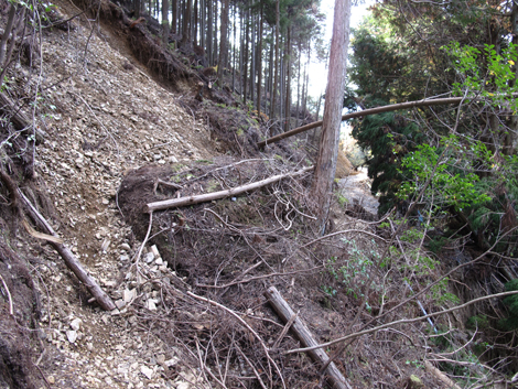 20131124hike (429)